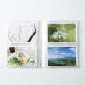 Album na zdjęcia PP 56 kieszeni 10x15cm / 28 kieszeni 13x18cm