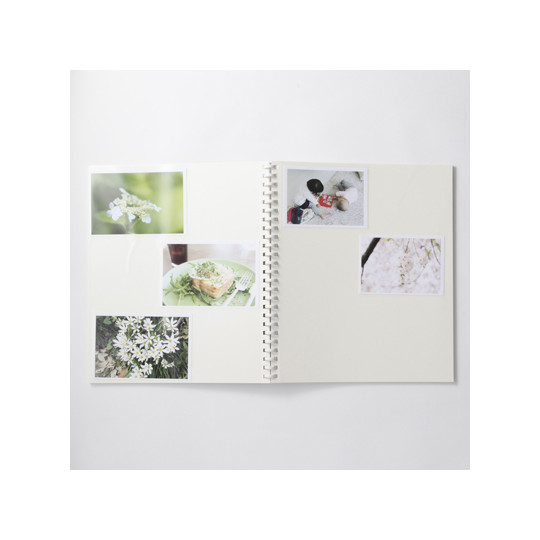 Wkład do segregatora album na zdjęcia