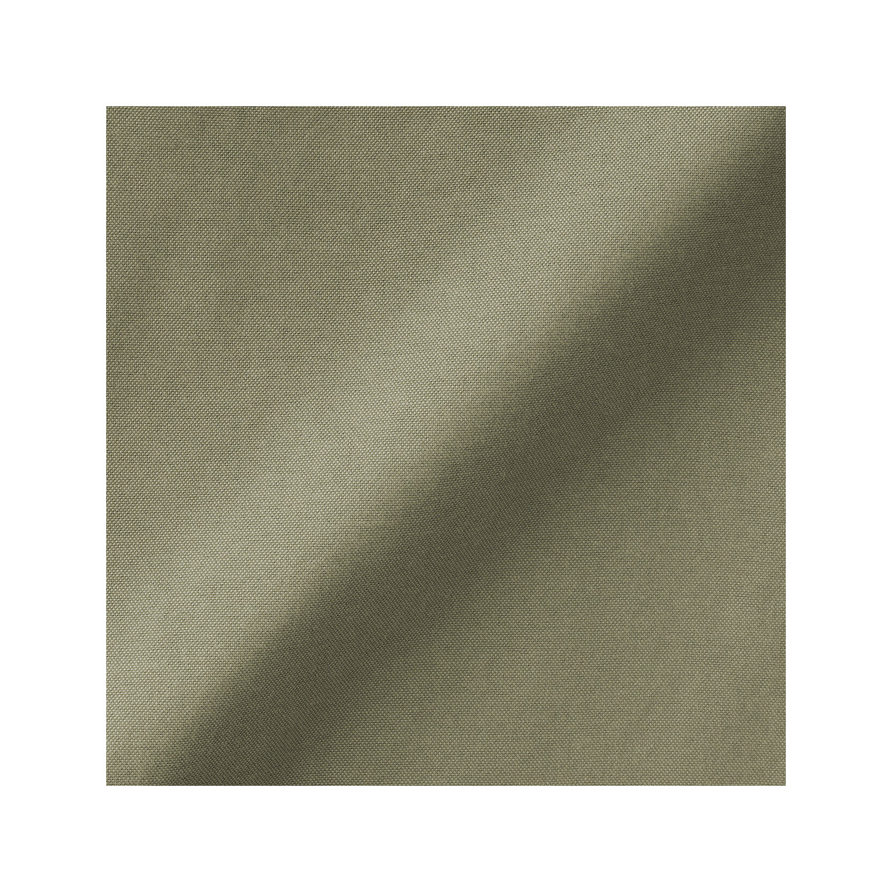 Koszula z bawełny oxford ze stójką khaki