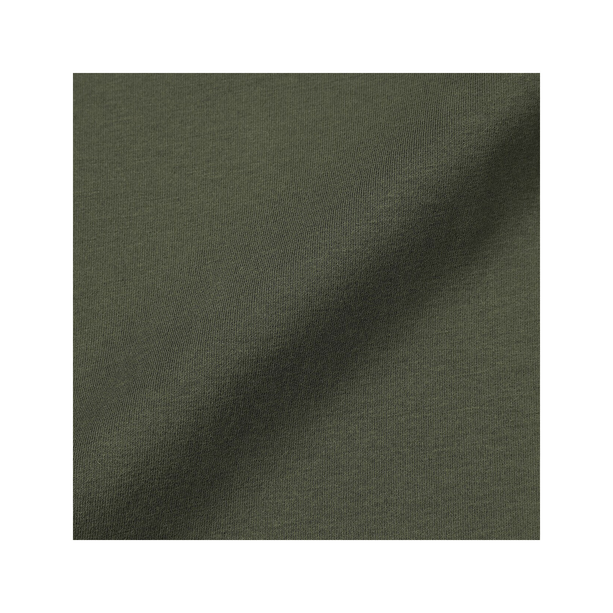 Koszulka z długim rękawem z bawełny czesanej zielona