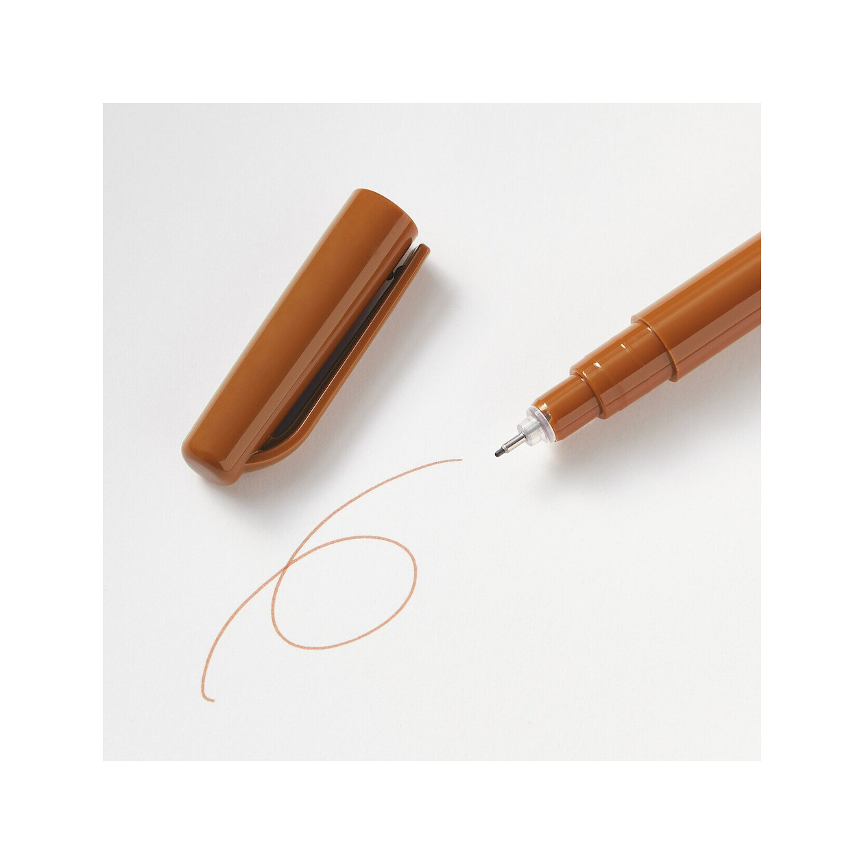 Cienkopis wodny brązowy