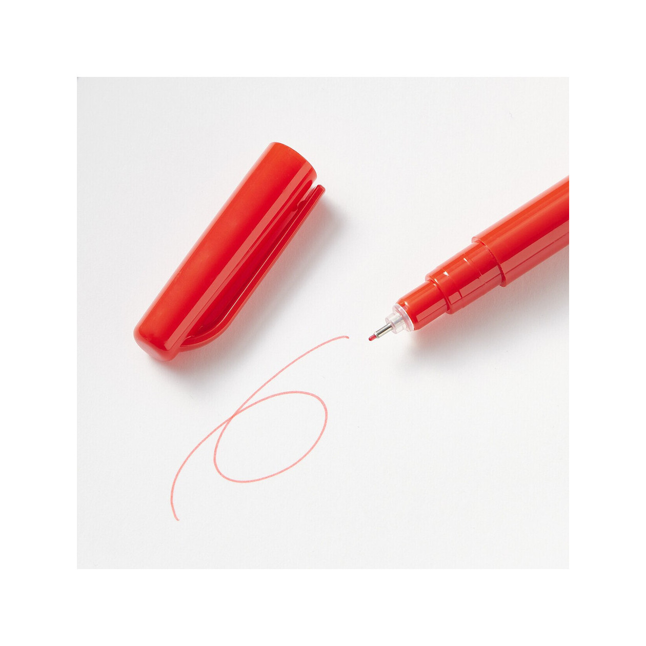 Cienkopis wodny czerwony