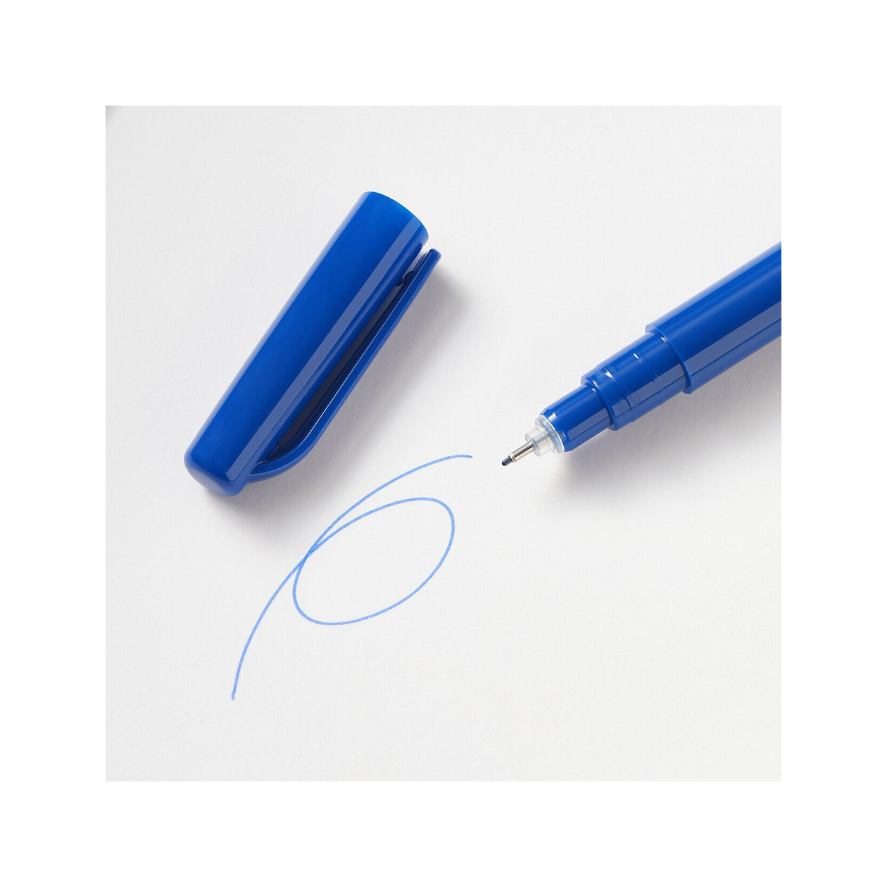 Cienkopis wodny niebieski